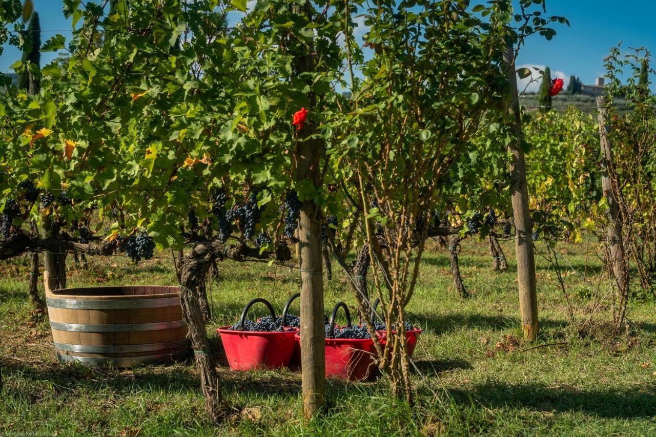 Viticcio Villa Greve in Chianti Ngoại thất bức ảnh