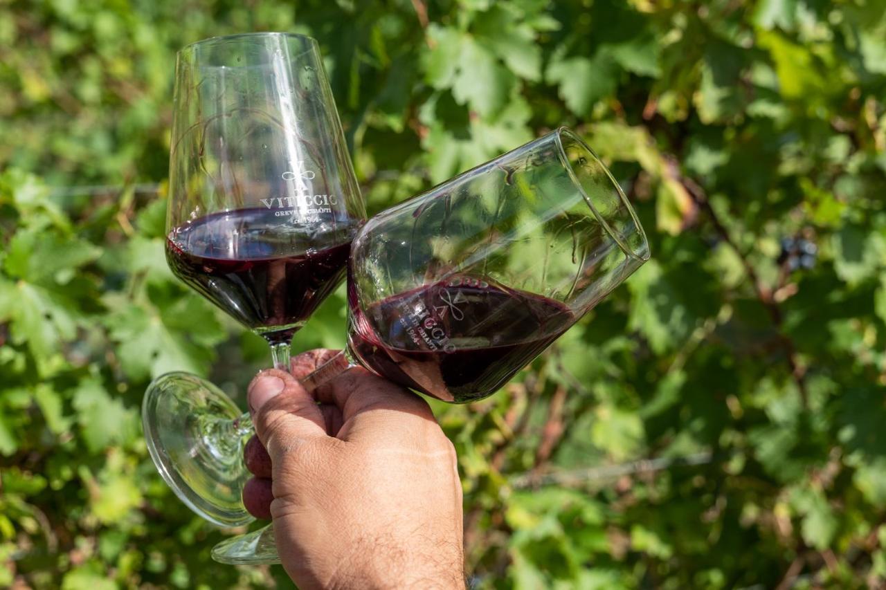 Viticcio Villa Greve in Chianti Ngoại thất bức ảnh