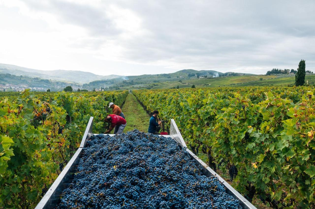Viticcio Villa Greve in Chianti Ngoại thất bức ảnh