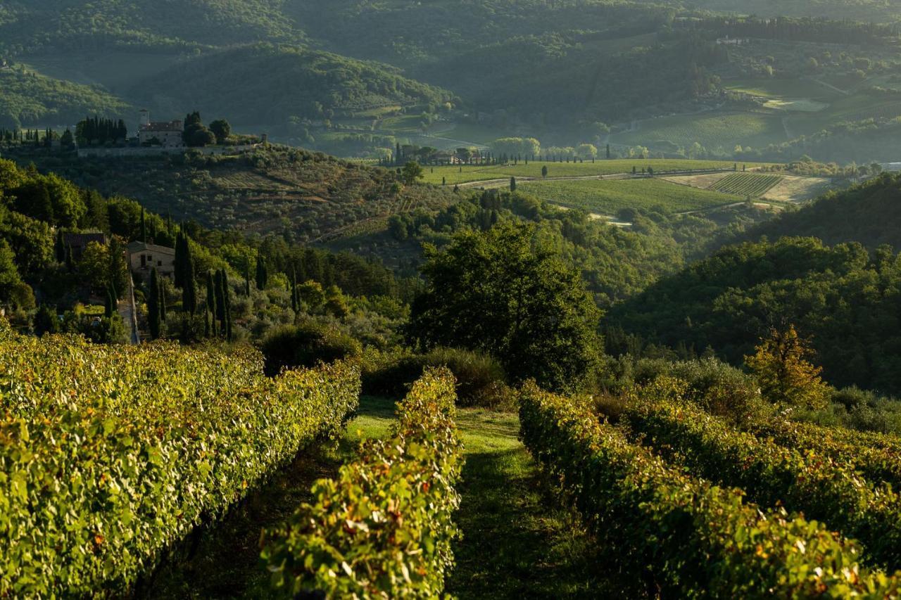 Viticcio Villa Greve in Chianti Ngoại thất bức ảnh