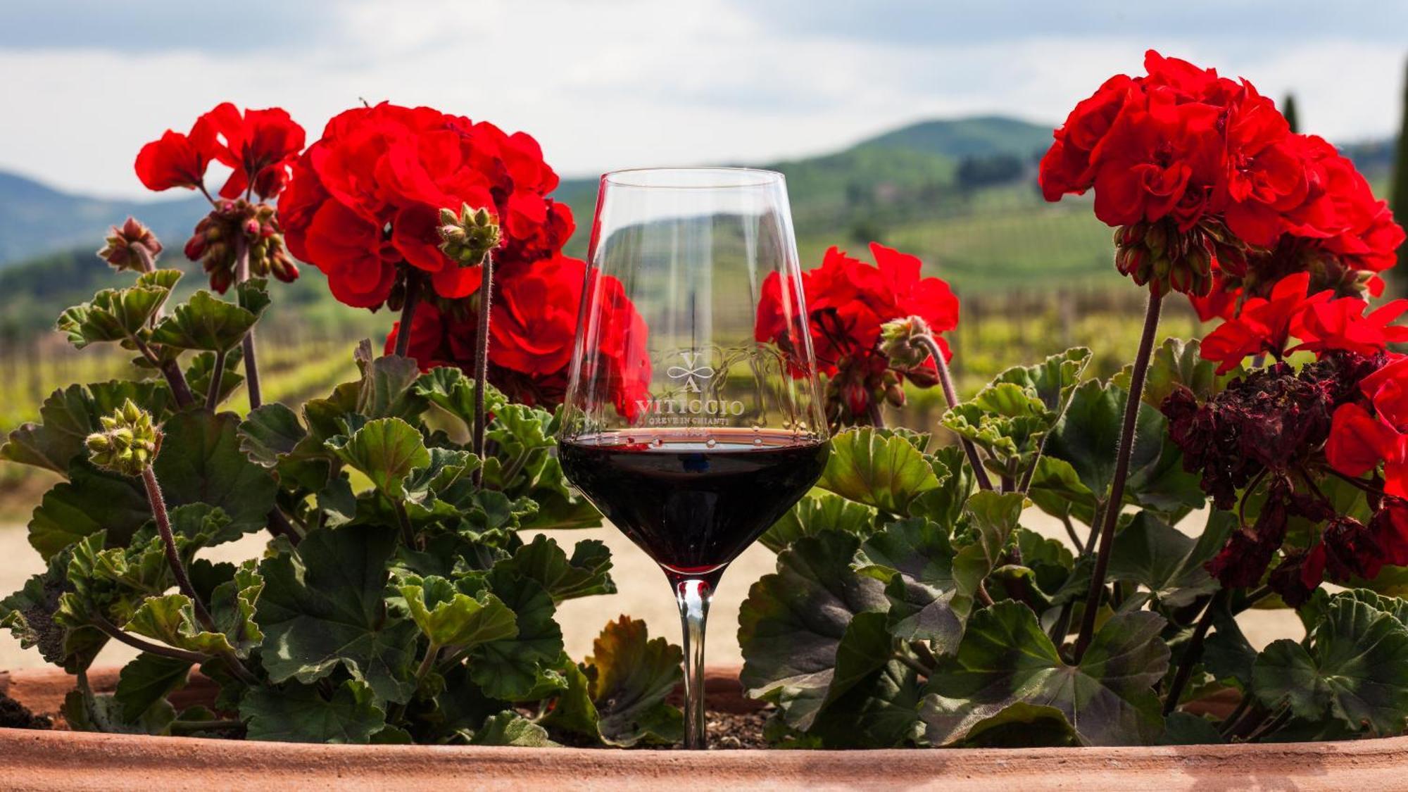 Viticcio Villa Greve in Chianti Ngoại thất bức ảnh
