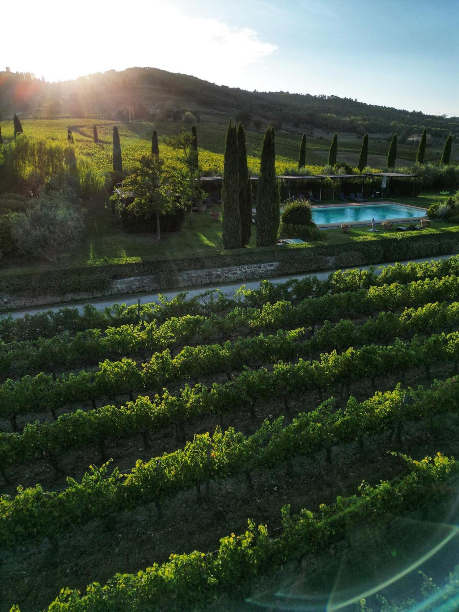 Viticcio Villa Greve in Chianti Ngoại thất bức ảnh