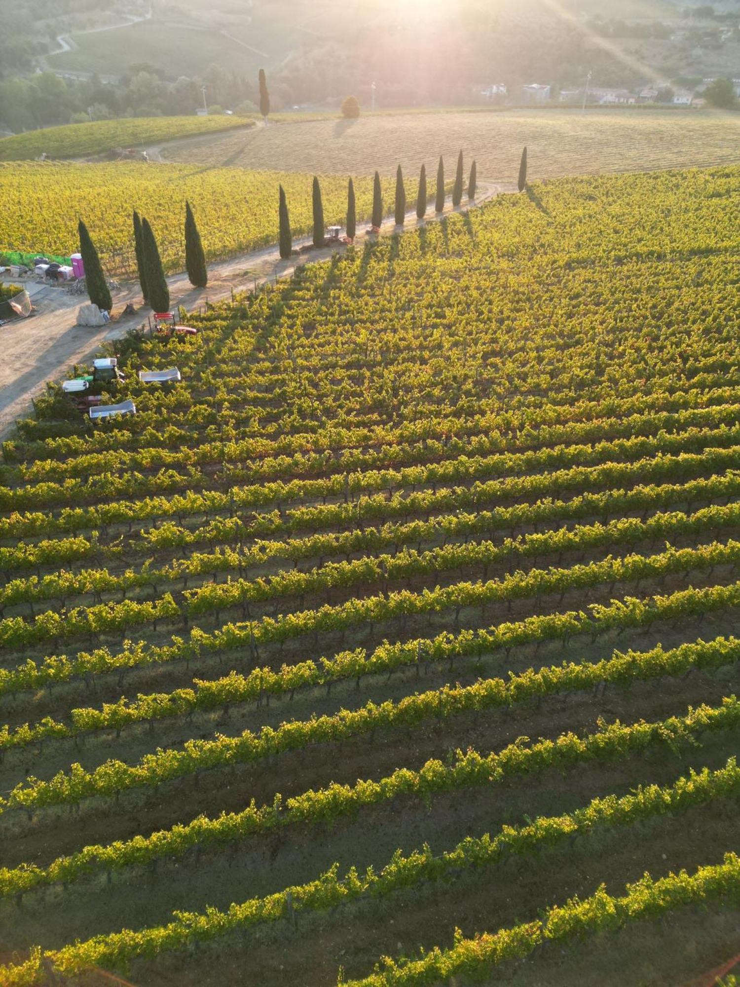 Viticcio Villa Greve in Chianti Ngoại thất bức ảnh