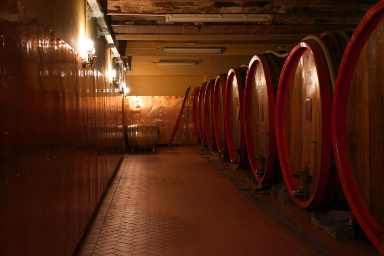 Viticcio Villa Greve in Chianti Ngoại thất bức ảnh