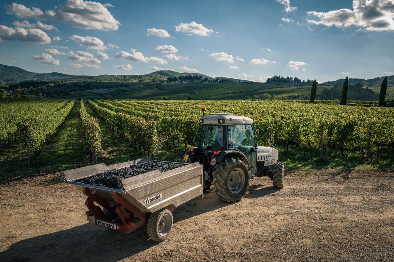 Viticcio Villa Greve in Chianti Ngoại thất bức ảnh