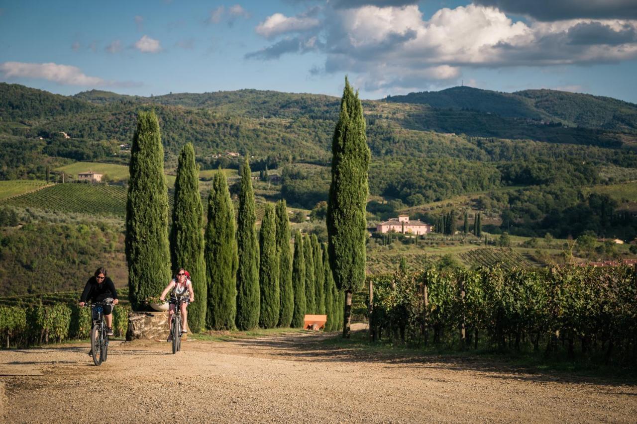 Viticcio Villa Greve in Chianti Ngoại thất bức ảnh
